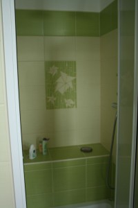 Picture 093